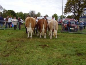 Winners of the Interbreed group of 3 at Fife Show 2008