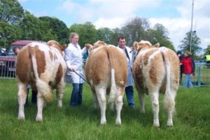 The group of 3 which won Kirriemuir Show 2007